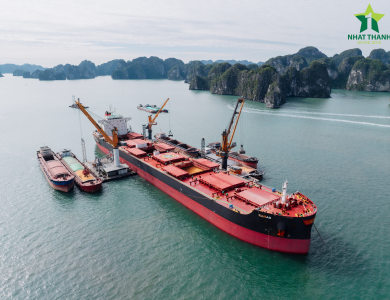 Vessel Sarah Operations