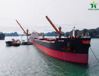 Ocean Freight Trends Shaping the Future of Maritime Logistics