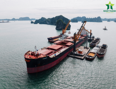 Vessel Sarah Operations