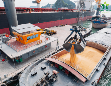 Vessel Sarah Operations