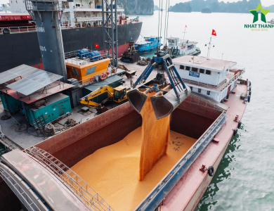 Vessel Sarah Operations