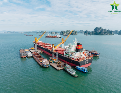 Vessel Sarah Operations