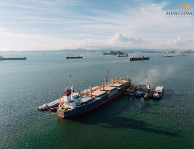 Oldendorff Vessel Operations